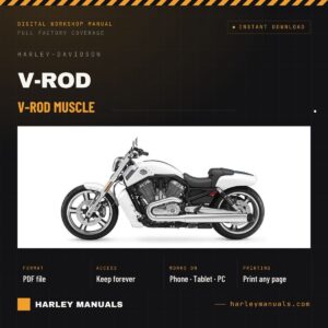 V-Rod Muscle