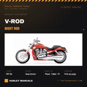 Night Rod