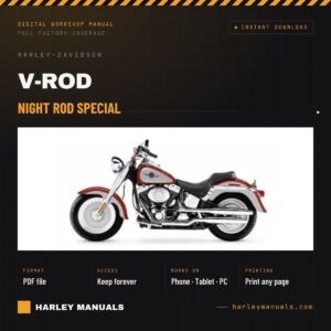 Night Rod Special