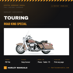 Road King Special