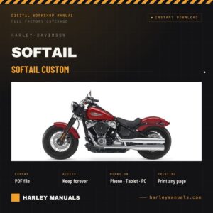 Softail Custom