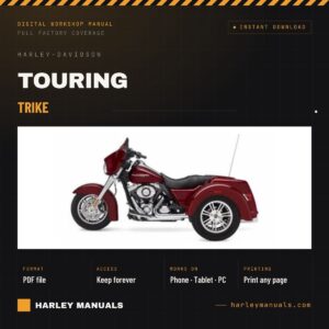 Trike