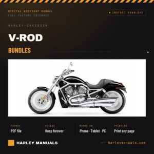 Bundles